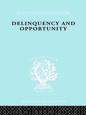 Delinquency and Opportunity