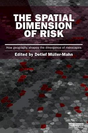 The Spatial Dimension of Risk