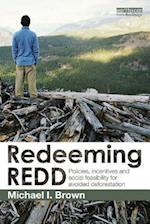 Redeeming REDD