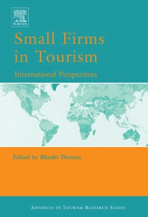 Small Firms in Tourism