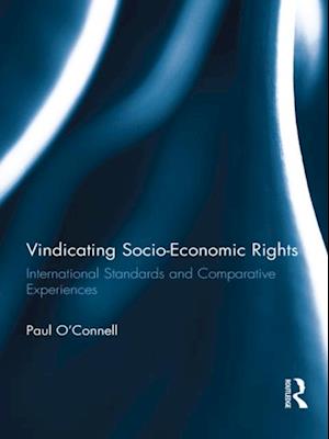 Vindicating Socio-Economic Rights