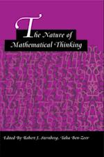 The Nature of Mathematical Thinking