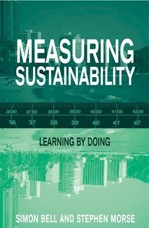 Measuring Sustainability