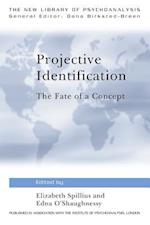 Projective Identification