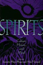 Spirits in Culture, History and Mind