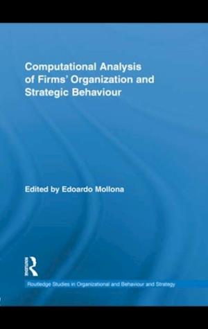 Computational Analysis of Firms'' Organization and Strategic Behaviour