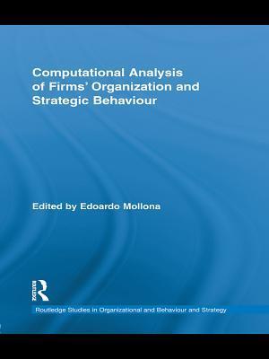 Computational Analysis of Firms'' Organization and Strategic Behaviour