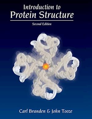 Introduction to Protein Structure