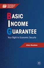 Basic Income Guarantee