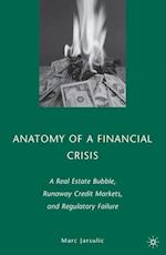 Anatomy of a Financial Crisis