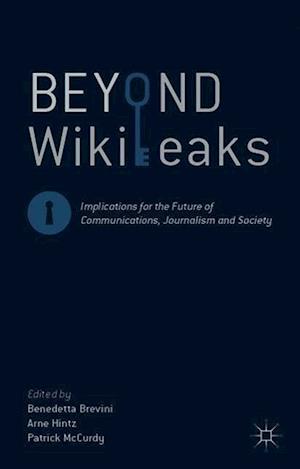 Beyond WikiLeaks