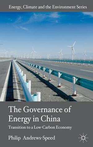 Governance of Energy in China