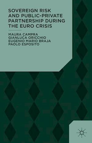 Sovereign Risk and Public-Private Partnership During the Euro Crisis