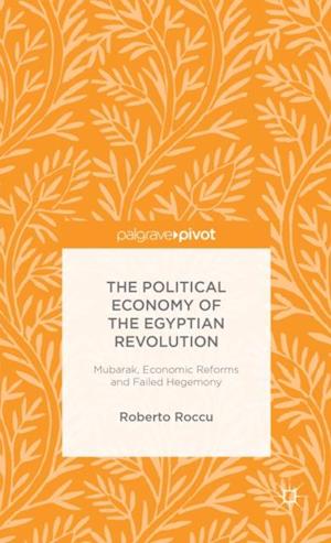 Political Economy of the Egyptian Revolution