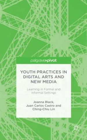 Youth Practices in Digital Arts and New Media
