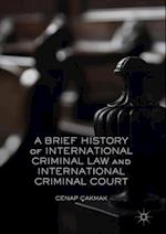 Brief History of International Criminal Law and International Criminal Court