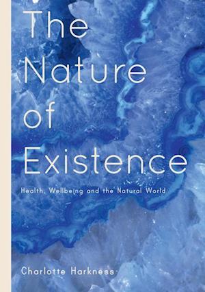 The Nature of Existence