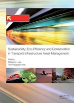 Sustainability, Eco-efficiency, and Conservation in Transportation Infrastructure Asset Management