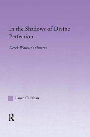 In the Shadows of Divine Perfection