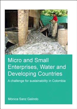 Micro and Small Enterprises, Water and Developing Countries