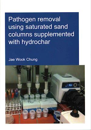 Pathogen removal using saturated sand columns supplemented with hydrochar