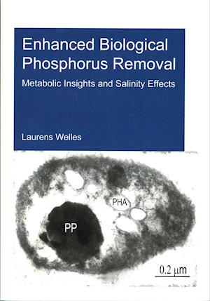 Enhanced Biological Phosphorus Removal