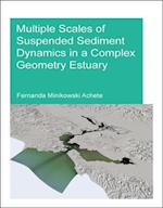 Multiple Scales of Suspended Sediment Dynamics in a Complex Geometry Estuary
