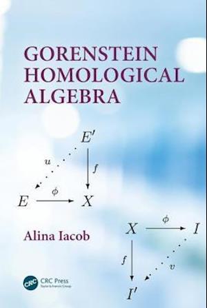 Gorenstein Homological Algebra