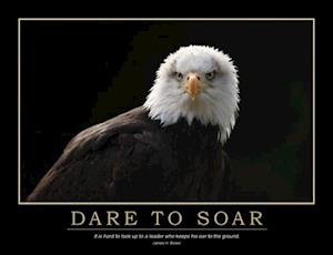 Dare to Soar Poster