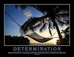 Determination Poster