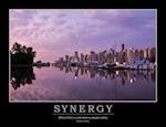 Synergy Poster