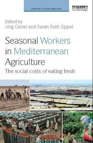 Seasonal Workers in Mediterranean Agriculture