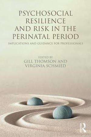 Psychosocial Resilience and Risk in the Perinatal Period