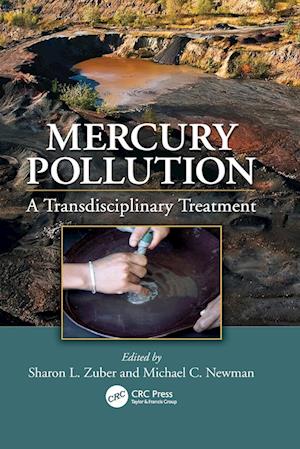 Mercury Pollution