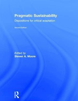 Pragmatic Sustainability