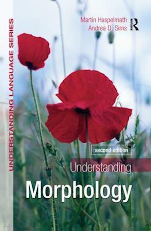 Understanding Morphology