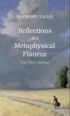 Reflections of a Metaphysical Flaneur