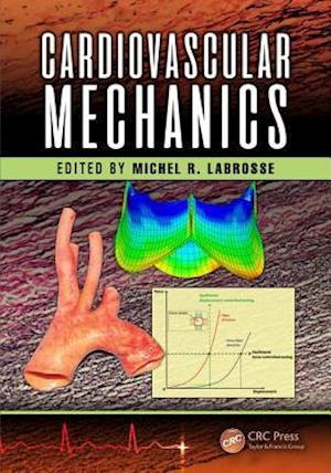 Cardiovascular Mechanics