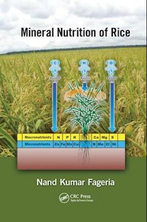 Mineral Nutrition of Rice