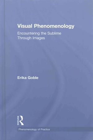 Visual Phenomenology