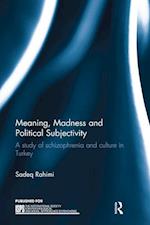 Meaning, Madness and Political Subjectivity