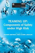 Teaming Up: Components of Safety Under High Risk