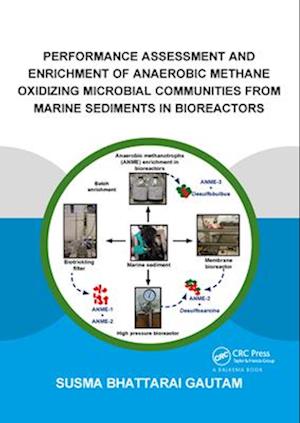 Performance Assessment and Enrichment of Anaerobic Methane Oxidizing Microbial Communities from Marine Sediments in Bioreactors