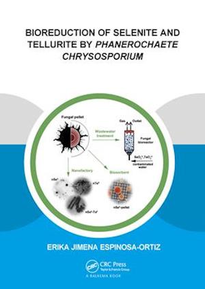 Bioreduction of Selenite and Tellurite by Phanerochaete Chrysosporium