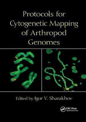Protocols for Cytogenetic Mapping of Arthropod Genomes