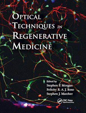 Optical Techniques in Regenerative Medicine