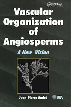 Vascular Organization of Angiosperms