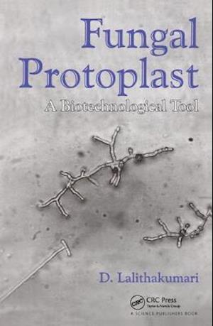 Fungal Protoplast