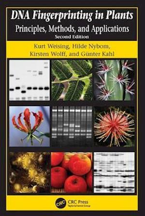 DNA Fingerprinting in Plants