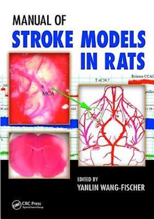 Manual of Stroke Models in Rats